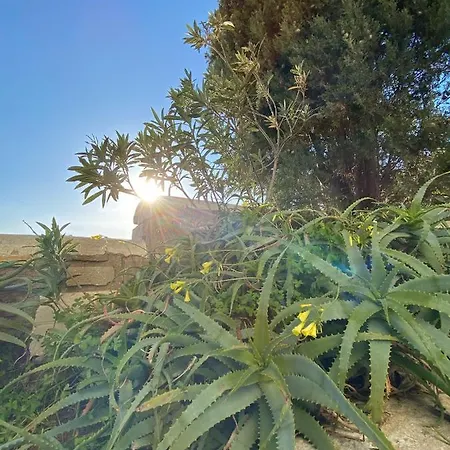 Villa Wood & Stone - Paros Aspro Chorio