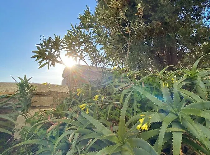 Villa Wood & Stone - Paros Aspro Chorio